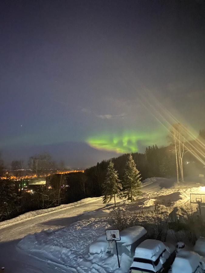 Alaskan Adventure Awaits! Eagle River ภายนอก รูปภาพ